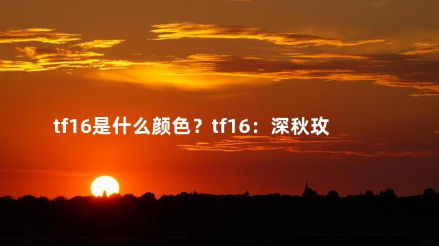 tf16是什么颜色？tf16：深秋玫瑰，唯美别致