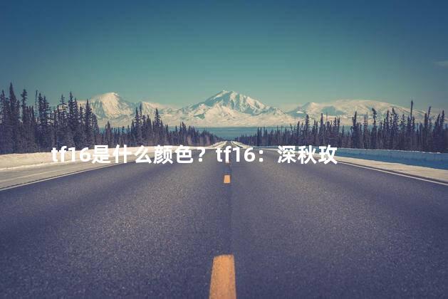 tf16是什么颜色？tf16：深秋玫瑰，唯美别致