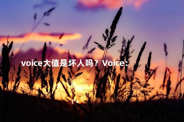voice大值是坏人吗？Voice：大值者，是恶人吗？