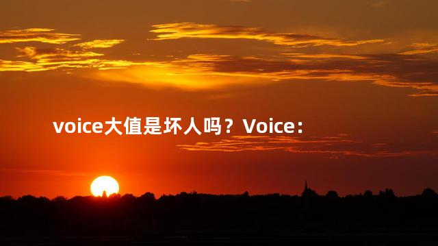 voice大值是坏人吗？Voice：大值者，是恶人吗？