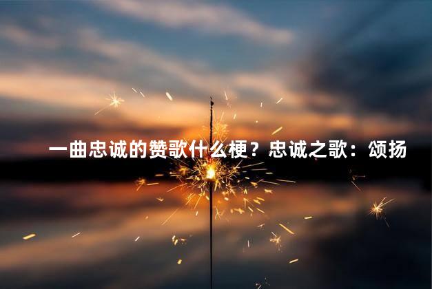 一曲忠诚的赞歌什么梗？忠诚之歌：颂扬信仰的赞赏