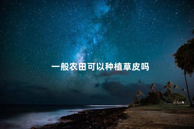 一般农田可以种植草皮吗