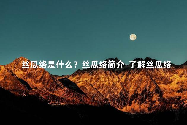 丝瓜络是什么？丝瓜络简介-了解丝瓜络的特点与作用