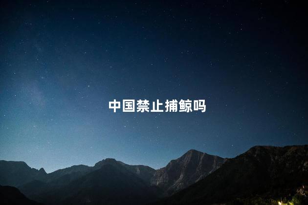 中国禁止捕鲸吗，捕捉虎鲸犯法吗