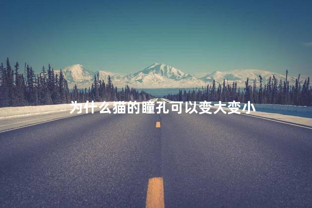 为什么猫的瞳孔可以变大变小，猫的瞳孔变大变小的原因