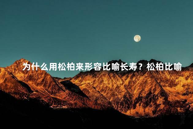 为什么用松柏来形容比喻长寿？松柏比喻长寿之道