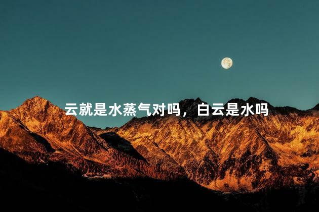 云就是水蒸气对吗，白云是水吗