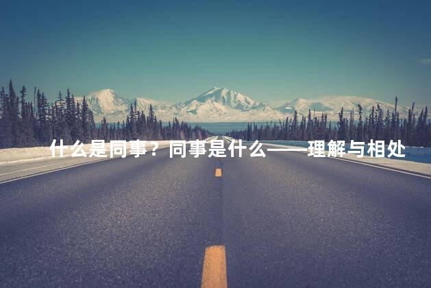 什么是同事？同事是什么——理解与相处，快速学懂工作友谊！