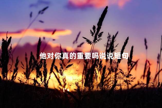 他对你真的重要吗说说短句