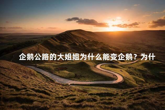 企鹅公路的大姐姐为什么能变企鹅？为什么企鹅公路的姐姐能变身企鹅