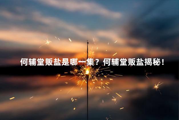 何辅堂贩盐是哪一集？何辅堂贩盐揭秘！寻找真相，第几集是你的答案！