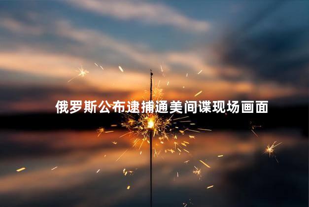 俄罗斯公布逮捕通美间谍现场画面 全球媒体和公众的广泛关注