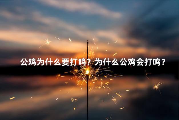 公鸡为什么要打鸣？为什么公鸡会打鸣？