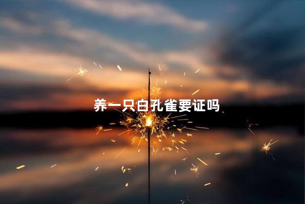 养一只白孔雀要证吗
