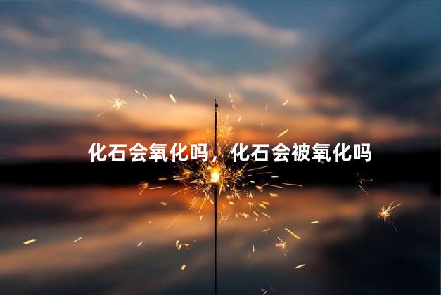 化石会氧化吗，化石会被氧化吗