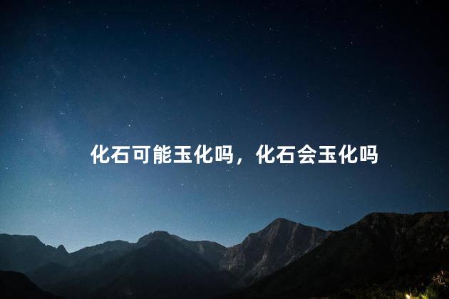 化石可能玉化吗，化石会玉化吗