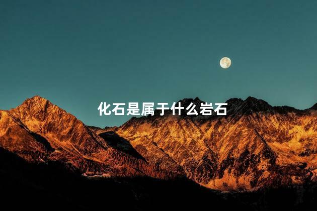 化石是属于什么岩石，化石是属于什么岩石类型