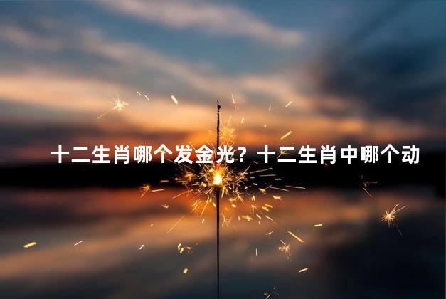 十二生肖哪个发金光？十二生肖中哪个动物身上会发出金光？
