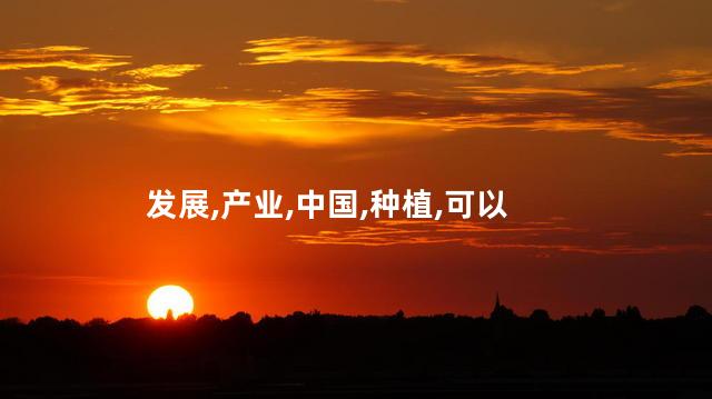 竹笋的种类图片及名称？竹笋种类大揭秘！图片一览＋名称引爆你的味蕾！35秒速览！
