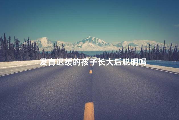 发育迟缓的孩子长大后聪明吗