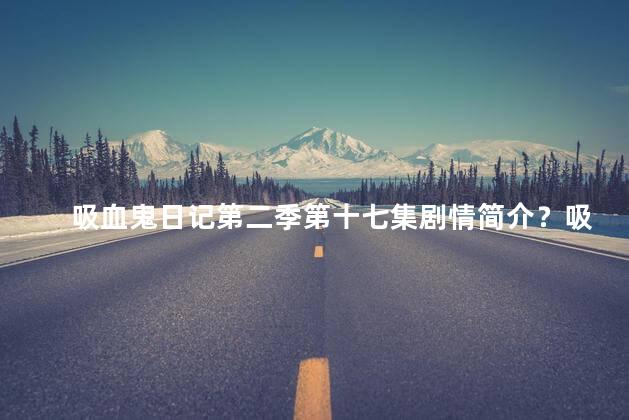 吸血鬼日记第二季第十七集剧情简介？吸血鬼日记第二季第十七集：兄弟之间的背叛