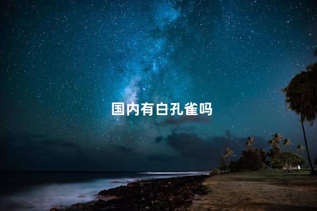 国内有白孔雀吗