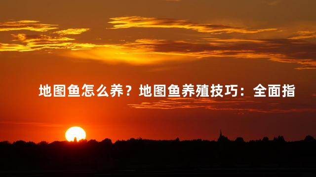 地图鱼怎么养？地图鱼养殖技巧：全面指南