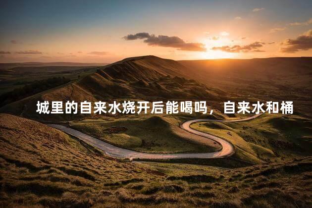 城里的自来水烧开后能喝吗，自来水和桶装水哪个更健康呢