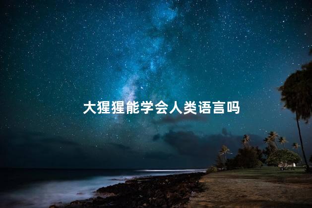 大猩猩能学会人类语言吗，大猩猩能学会说话吗