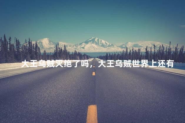 大王乌贼灭绝了吗，大王乌贼世界上还有吗