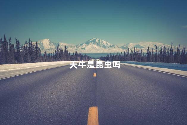 天牛是昆虫吗