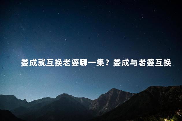 娄成就互换老婆哪一集？娄成与老婆互换，欢乐诙谐大猜想！