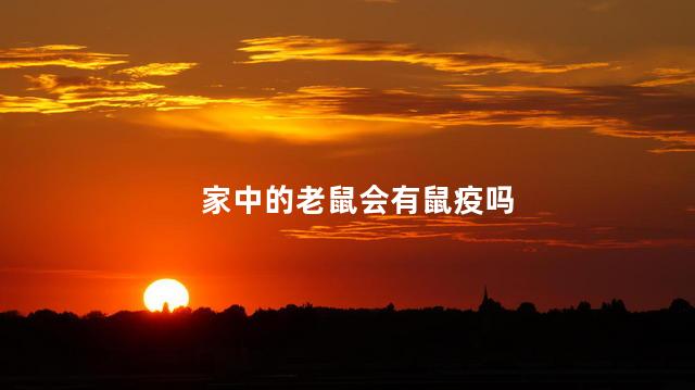 家中的老鼠会有鼠疫吗，家里有老鼠人会生病吗