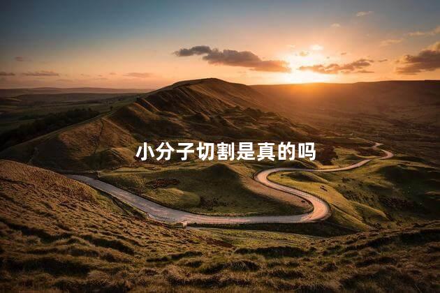 小分子切割是真的吗