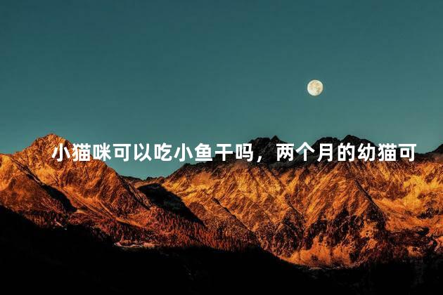 小猫咪可以吃小鱼干吗，两个月的幼猫可以吃小鱼干吗