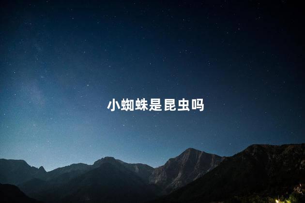 小蜘蛛是昆虫吗
