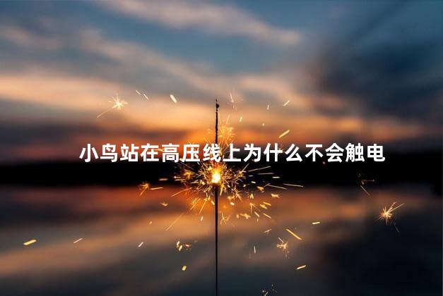 小鸟站在高压线上为什么不会触电，小鸟站在高压线上不会触电的原因是