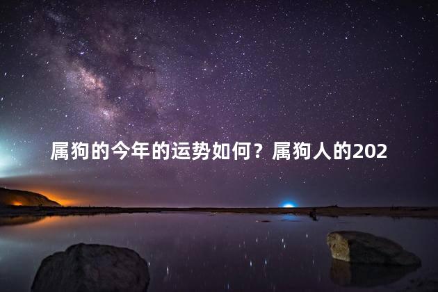 属狗的今年的运势如何？属狗人的2022年运势大揭秘