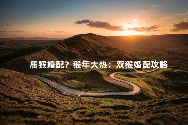 属猴婚配？猴年大热：双猴婚配攻略