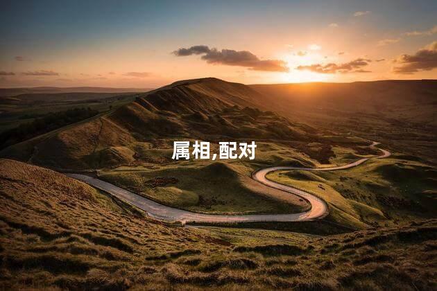 龙和什么属相配？龙适配哪个属相？寓意与传统文化相符35字内