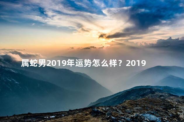 属蛇男2019年运势怎么样？2019年属蛇男运势：全面提升，事业爱情双丰收