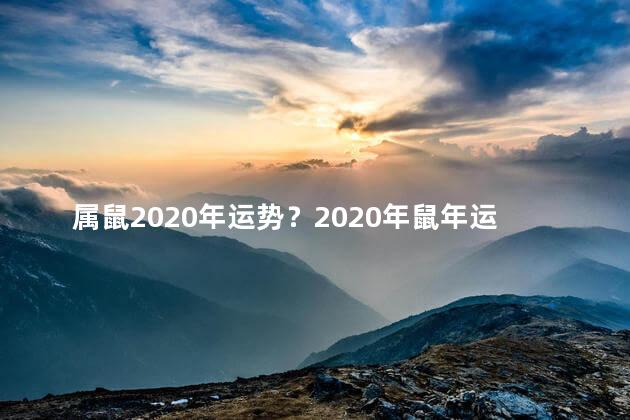 属鼠2020年运势？2020年鼠年运势：属鼠人的好运一整年