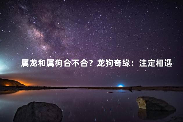 属龙和属狗合不合？龙狗奇缘：注定相遇的两个星座