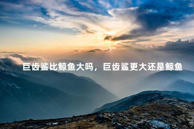 巨齿鲨比鲸鱼大吗，巨齿鲨更大还是鲸鱼更大