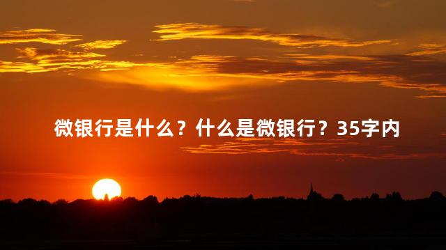 微银行是什么？什么是微银行？35字内