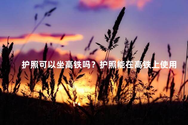 护照可以坐高铁吗？护照能在高铁上使用吗