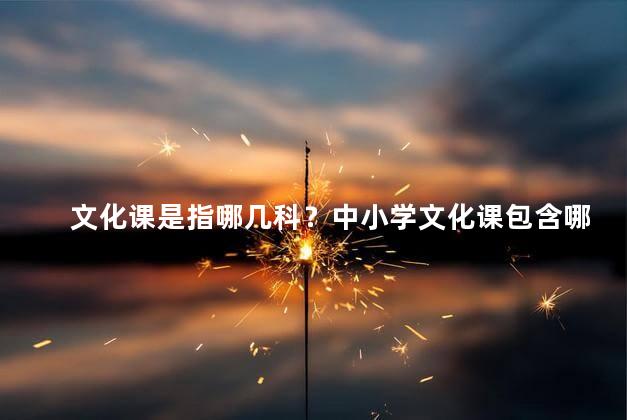 文化课是指哪几科？中小学文化课包含哪几科？