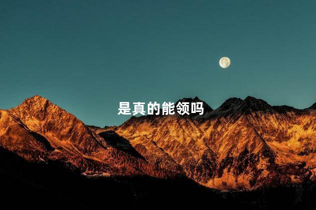 是真的能领吗
