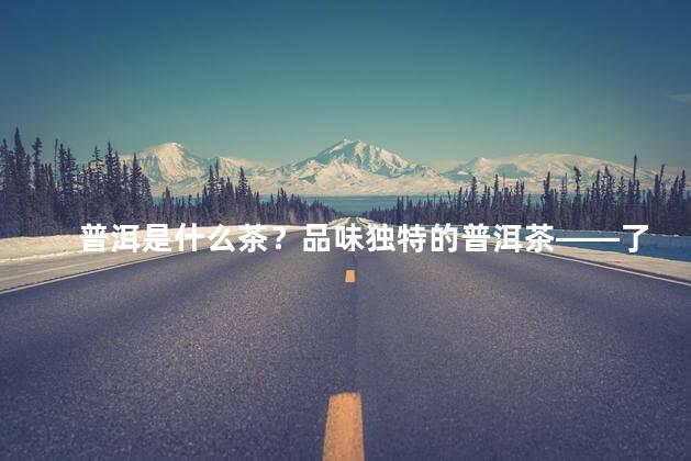 普洱是什么茶？品味独特的普洱茶——了解普洱的真正面貌
