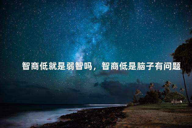 智商低就是弱智吗，智商低是脑子有问题吗